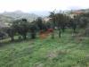 Terreno Agricolo in vendita a Cautano in via cupetelle - 03, Foto 3