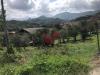Terreno Agricolo in vendita a Cautano in via cupetelle - 09, Foto 9