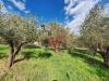 Terreno Agricolo in vendita a Foglianise in contrada palmenta - 06, Foto 6