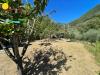 Terreno Agricolo in vendita a Avegno in passo selvatico - 04, Foto 4