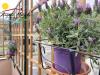 Appartamento in vendita a Recco in via assereto 84 - 07, Foto 7