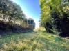 Terreno Agricolo in vendita a Volta Mantovana in via dei bosche 20 - 02, Foto 2