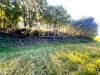 Terreno Agricolo in vendita a Volta Mantovana in via dei bosche 20 - 03, Foto 3