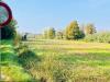 Terreno Agricolo in vendita a Monzambano - 04, Foto 4
