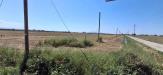 Terreno Agricolo in vendita a Grosseto - 02