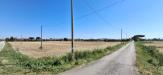 Terreno Agricolo in vendita a Grosseto - 04