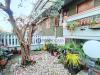 Villa in vendita con giardino a Carrara in via casola - 04, esterno