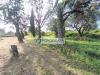 Casa indipendente in vendita con giardino a Sarzana in via rubiano - 06, terreno