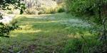 Terreno Agricolo in affitto a Massarosa in via delle fonti - 04, Foto 4