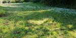 Terreno Agricolo in affitto a Massarosa in via delle fonti - 06, Foto 6