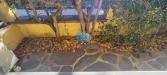 Casa indipendente in vendita con giardino a Viareggio in bertni - 02, Foto 2
