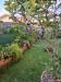Villa in vendita con giardino a Massa - marina di - 02
