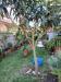 Villa in vendita con giardino a Massa - marina di - 03