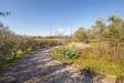 Villa in vendita a Arezzo - 04, Foto 4