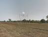 Terreno Agricolo in vendita a Torrita di Siena in capannone snc - 02, Foto 2