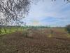 Casa indipendente in vendita con giardino a Pignataro Maggiore - 03, Foto 3