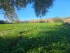 Terreno Edificabile in vendita a Pignataro Maggiore - 02, Foto 2