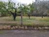 Terreno Edificabile in vendita a Pignataro Maggiore - 02, Foto 2
