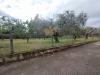 Terreno Edificabile in vendita a Pignataro Maggiore - 04, Foto 4