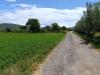 Terreno Agricolo in vendita a Vitulazio - 02, Foto 2