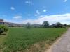 Terreno Agricolo in vendita a Vitulazio - 03, Foto 3