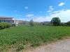 Terreno Agricolo in vendita a Vitulazio - 05, Foto 5
