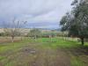 Terreno Agricolo in vendita a Pastorano in via latina - 03, Foto 3