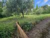 Terreno Agricolo in vendita a Calvi Risorta - 05, Foto 5