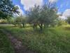 Terreno Agricolo in vendita a Calvi Risorta - 06, Foto 6