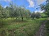 Terreno Agricolo in vendita a Calvi Risorta - 09, Foto 9