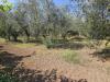 Villa in vendita con giardino a Pignataro Maggiore in via casilina - 06, Foto 6