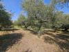 Villa in vendita con giardino a Pignataro Maggiore in via casilina - 07, Foto 7