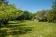 Villa in vendita a Duino-Aurisina in sistiana - 02, Foto 2