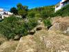 Casa indipendente in vendita da ristrutturare a Marciana - 10, Foto 10