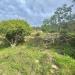 Terreno Edificabile in vendita a Marciana - 04, Foto 4