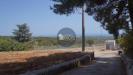 Terreno Agricolo in vendita a Monopoli in contrada torchiano - 10, Foto 10