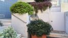 Appartamento in affitto con giardino a Monopoli in via ludovico ariosto - 05, Foto 5