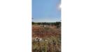 Terreno Agricolo in vendita a Monopoli in contrada cervarulo - 05, Foto 5