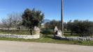 Rustico in vendita con giardino a Monopoli in contrada sorba snc - 02, Foto 2