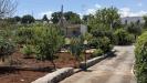 Casa indipendente in vendita con giardino a Fasano in c.da canale di pirro snc - 04, Foto 4