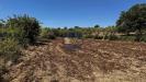 Terreno Agricolo in vendita a Monopoli in contrada aratico snc - 10, Foto 10
