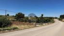 Terreno Agricolo in vendita a Monopoli in contrada aratico snc - 04, Foto 4