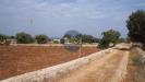 Terreno Agricolo in vendita a Polignano a Mare in strada comunale fusella - 05, Foto 5