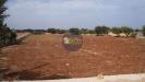Terreno Agricolo in vendita a Polignano a Mare in strada comunale fusella - 06, Foto 6