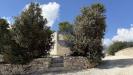 Villa in vendita con giardino a Martina Franca in c.da capo di gallo snc - 04, Foto 4