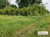 Terreno in vendita a Corbetta - 03
