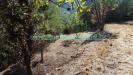 Terreno Agricolo in vendita a Savona in via monteprato - 05, Foto 7