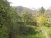 Villa in vendita con giardino a Savona in maschio stazione - 09, Foto 11