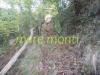 Terreno Agricolo in vendita a Savona in via cimavalle - 04, Foto 4