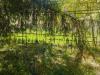 Appartamento in vendita con giardino a Savona in via de mari - 05, Foto 5